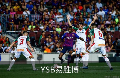 YSB易胜博简介